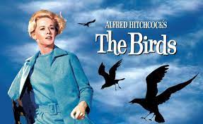 Joyas del Séptimo Arte : Birds de Alfred Hitchcock