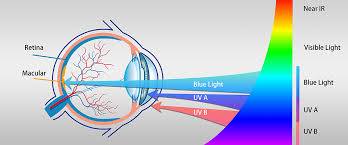 Explorando el Impacto de la Luz Azul en el Sueño y la Salud Ocular